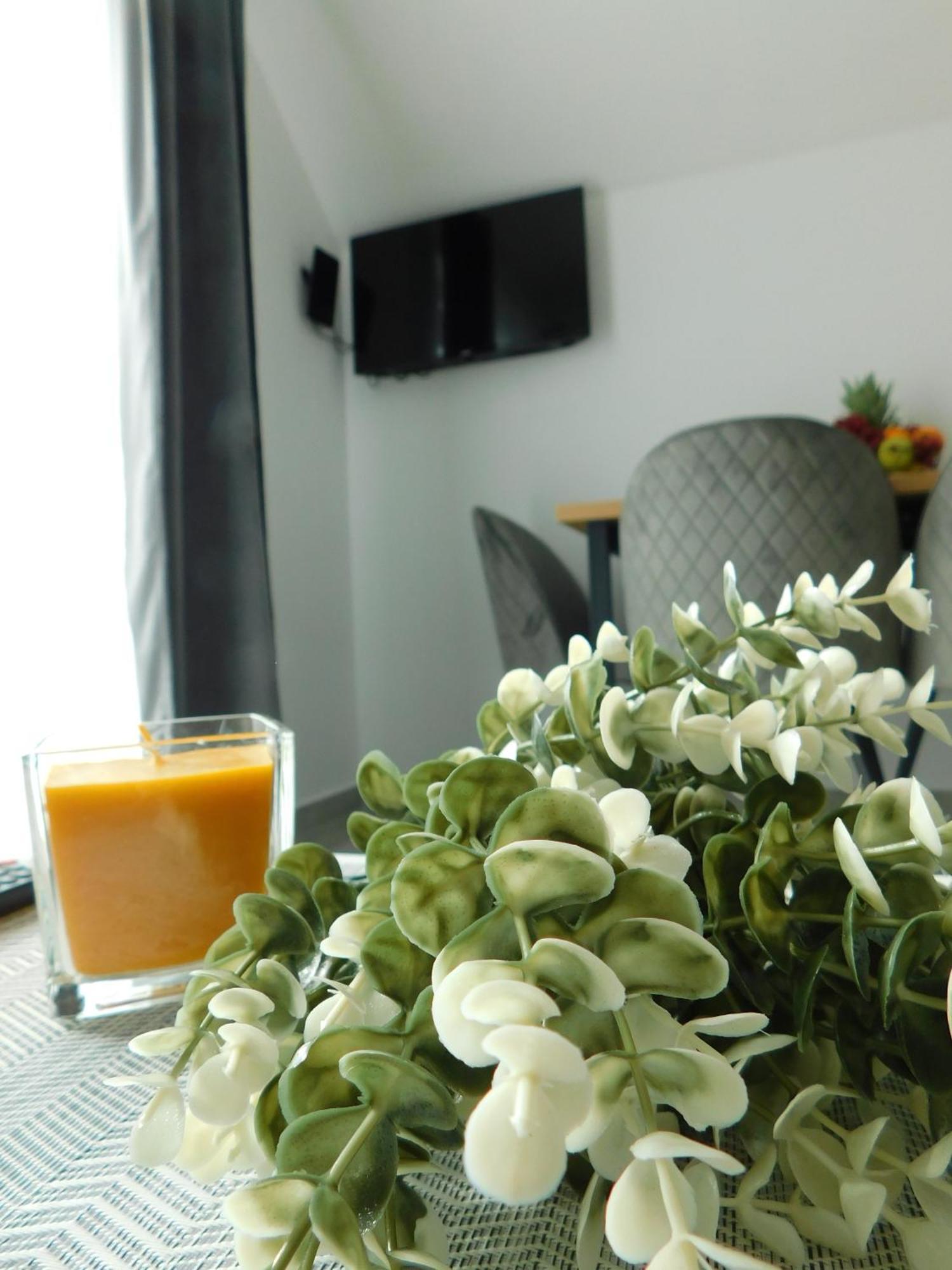 Apartman Nativis Otočac Eksteriør billede